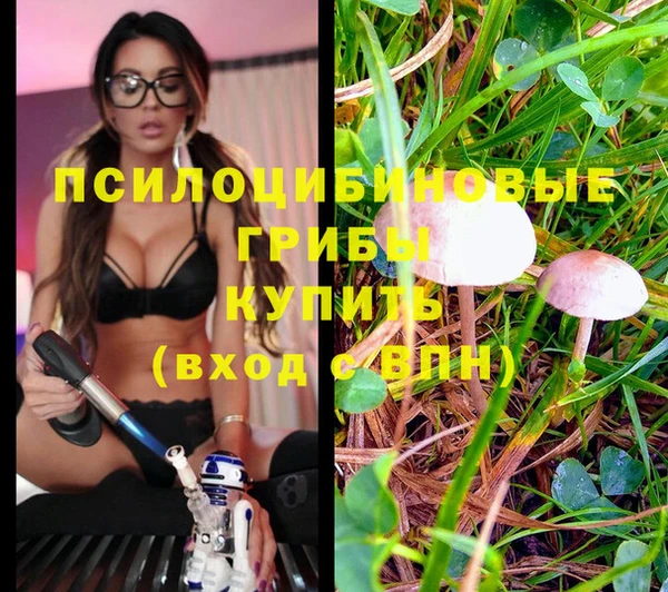 spice Иннополис