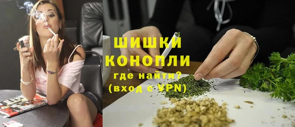 спайс Инта