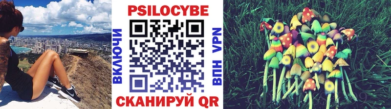 Псилоцибиновые грибы MAGIC MUSHROOMS  Купить  Ивантеевка 