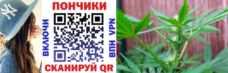 Бошки марихуана Amnesia  Купить закладки  Ивантеевка 